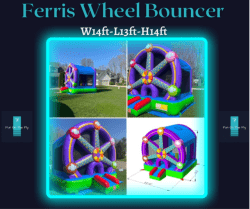 Ferris Wheel Bounce House (dry)